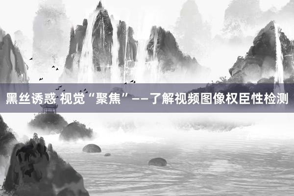 黑丝诱惑 视觉“聚焦”——了解视频图像权臣性检测