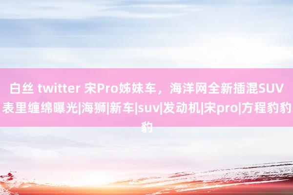 白丝 twitter 宋Pro姊妹车，海洋网全新插混SUV表里缠绵曝光|海狮|新车|suv|发动机|宋pro|方程豹豹