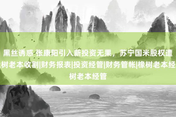 黑丝诱惑 张康阳引入新投资无果，苏宁国米股权遭橡树老本收割|财务报表|投资经管|财务管帐|橡树老本经管