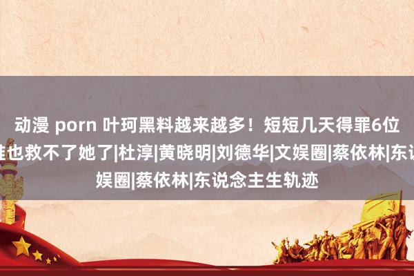 动漫 porn 叶珂黑料越来越多！短短几天得罪6位明星，这下谁也救不了她了|杜淳|黄晓明|刘德华|文娱圈|蔡依林|东说念主生轨迹