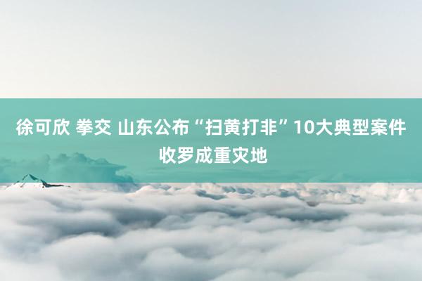 徐可欣 拳交 山东公布“扫黄打非”10大典型案件 收罗成重灾地