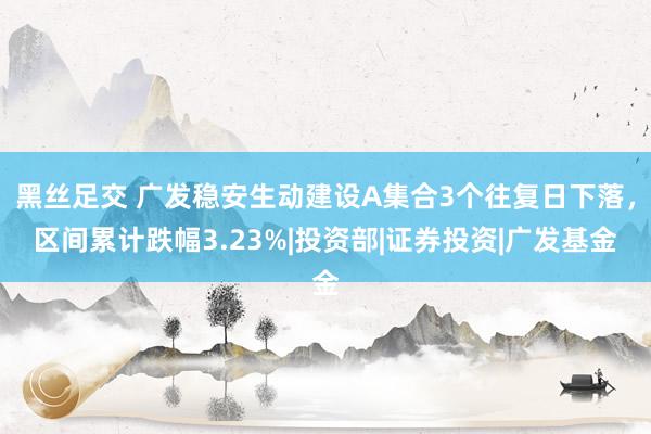 黑丝足交 广发稳安生动建设A集合3个往复日下落，区间累计跌幅3.23%|投资部|证券投资|广发基金