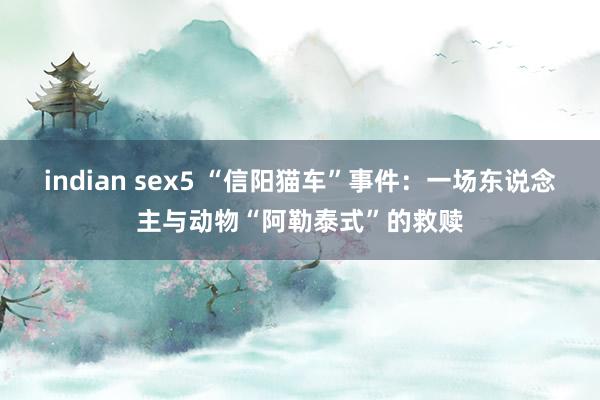 indian sex5 “信阳猫车”事件：一场东说念主与动物“阿勒泰式”的救赎