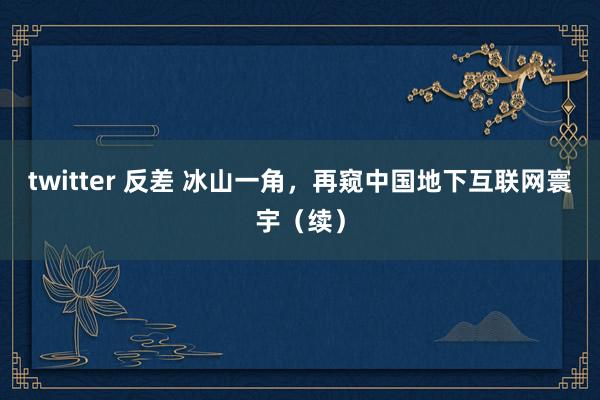 twitter 反差 冰山一角，再窥中国地下互联网寰宇（续）